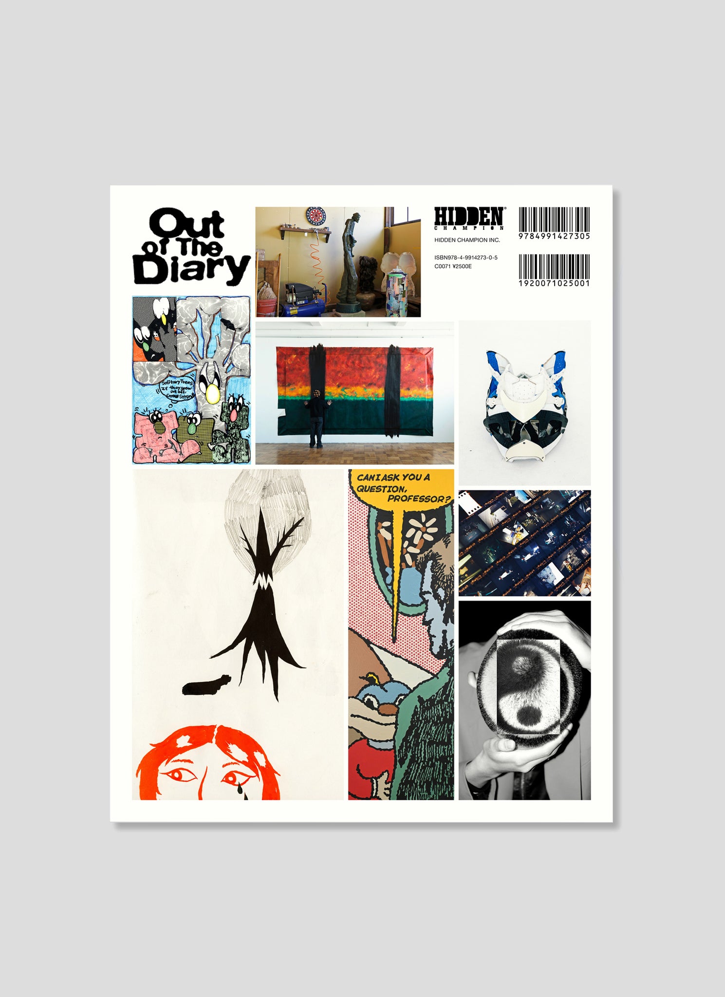 “Out Of The Diary” Book