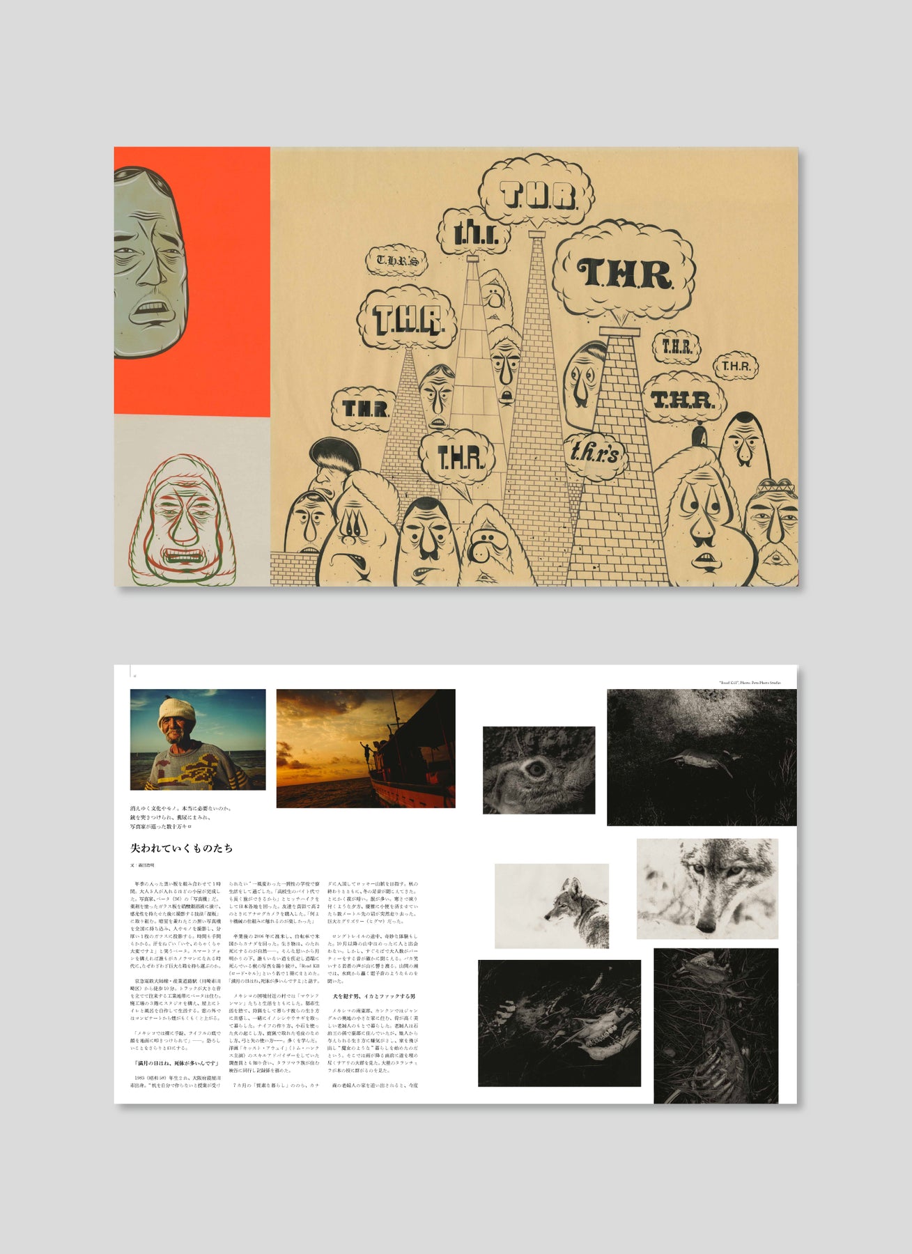 隐藏的冠军第56期