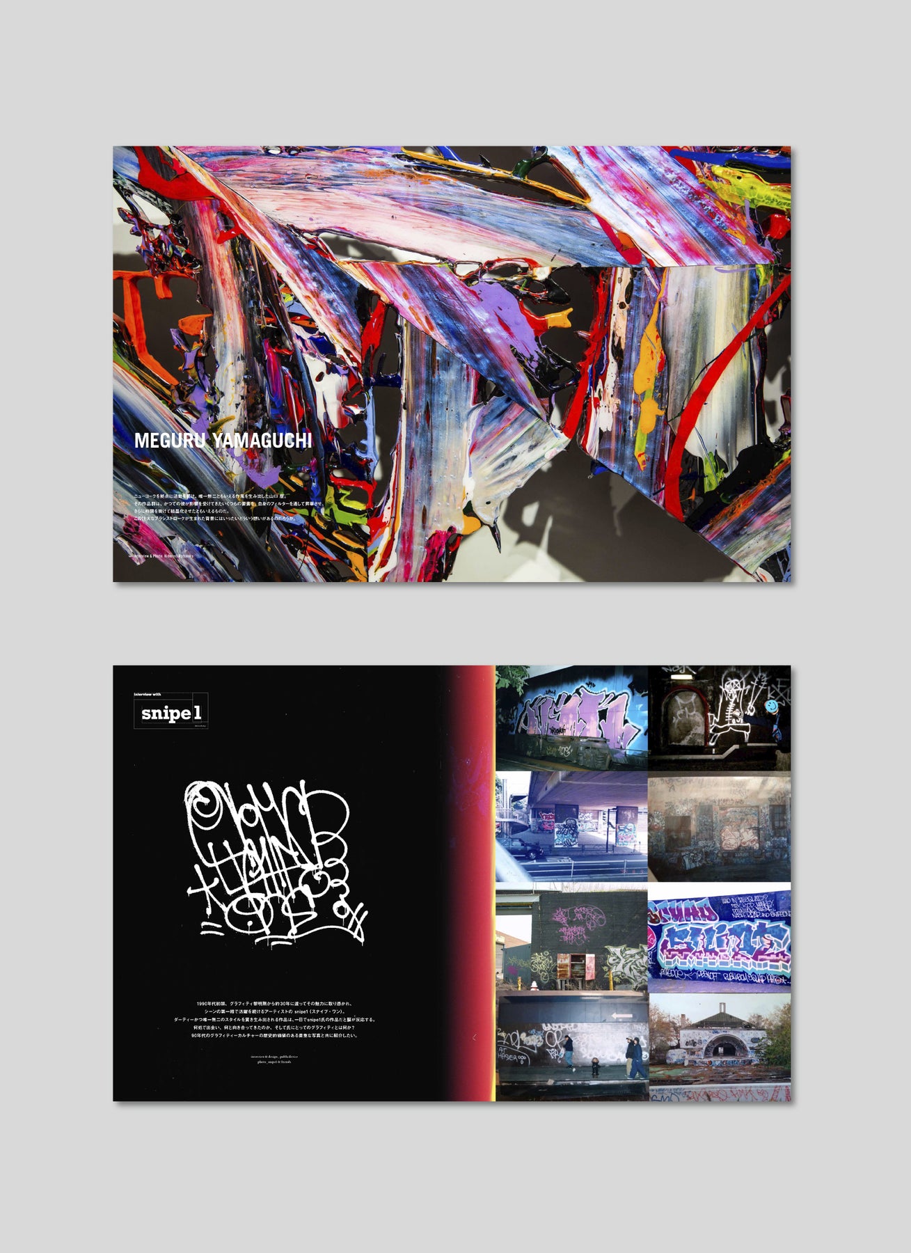 隐藏的冠军第57期